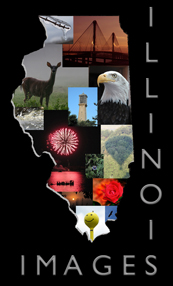 Illinois Images logo